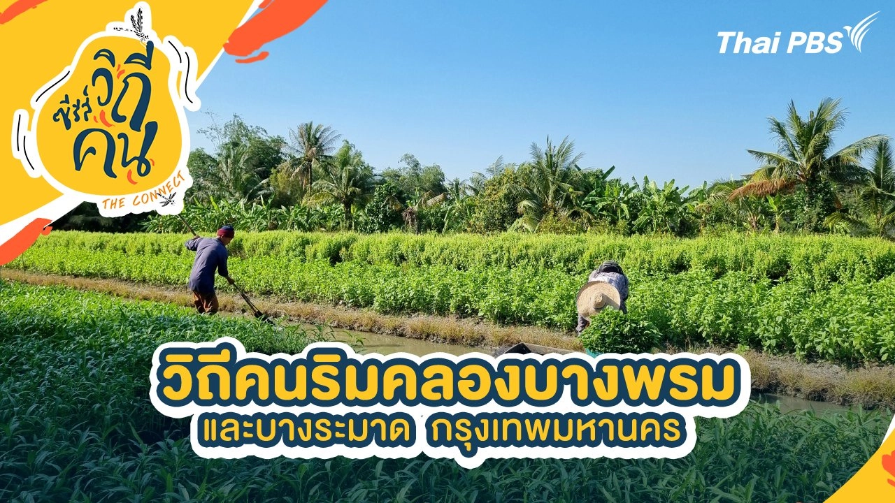 วิถีคนริมคลองบางพรม และบางระมาด  กรุงเทพมหานคร