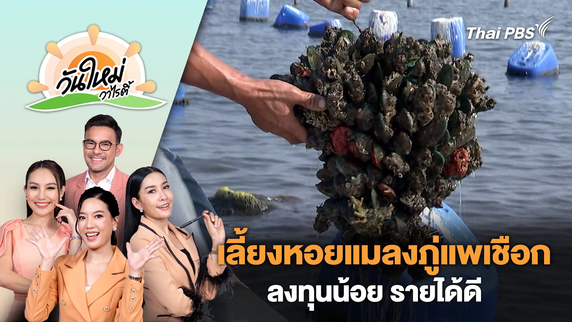 อาชีพเลี้ยงหอยแมลงภู่แพเชือก ลงทุนน้อย รายได้ดี | วันใหม่วาไรตี้ | 23 พ.ค. 67