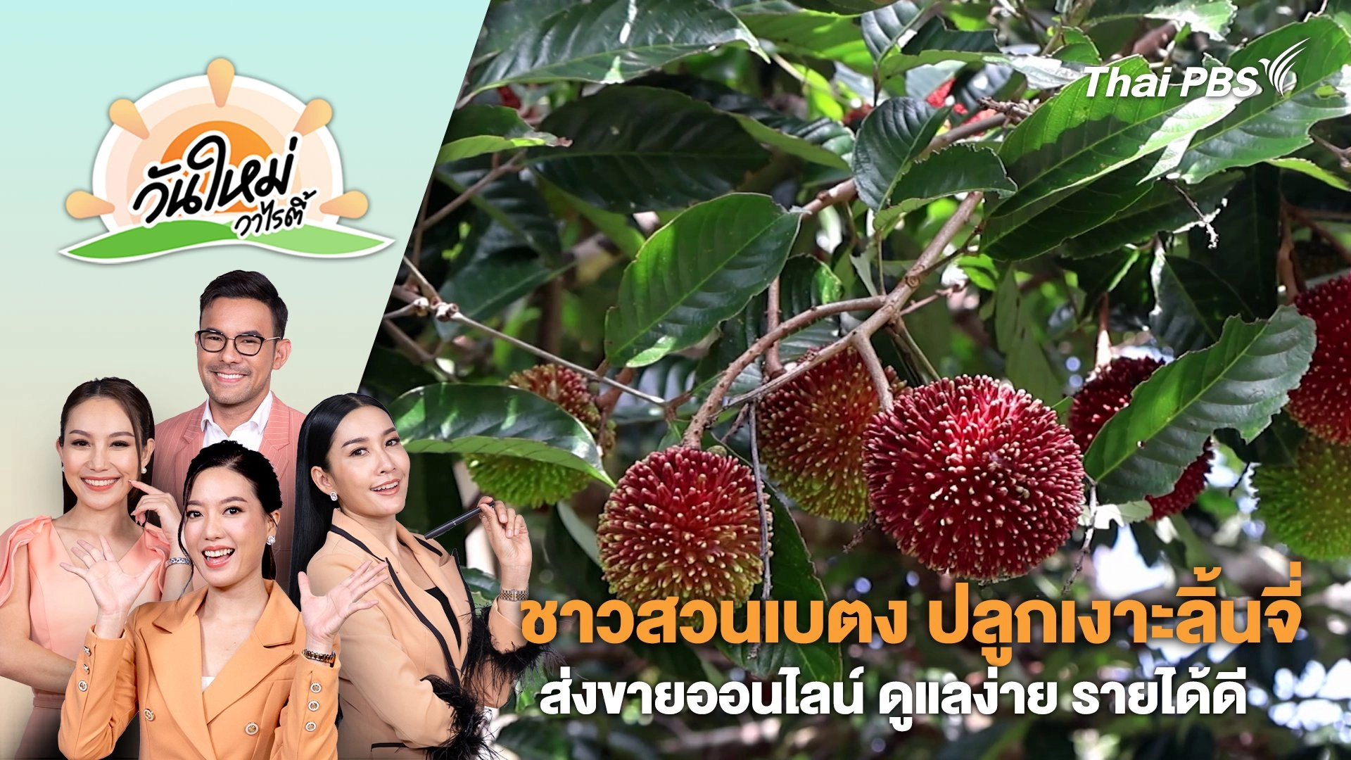 ชาวสวนเบตง ปลูกเงาะลิ้นจี่ส่งขายออนไลน์ ดูแลง่าย รายได้ดี | วันใหม่วาไรตี้ | 6 ส.ค. 67