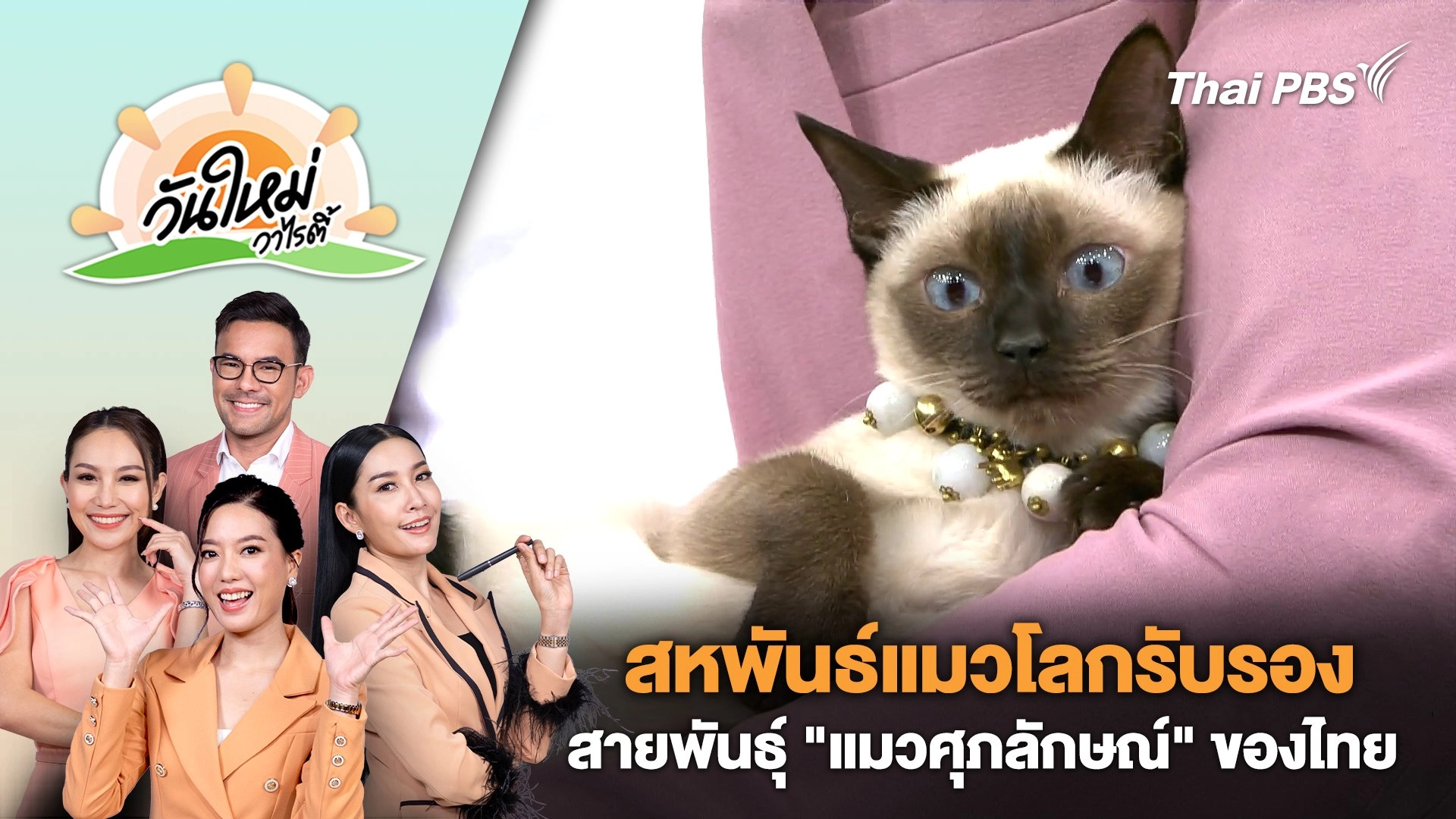 สหพันธ์แมวโลกรับรองสายพันธุ์ "แมวศุภลักษณ์" ของไทย | วันใหม่วาไรตี้ | 22 ส.ค. 67