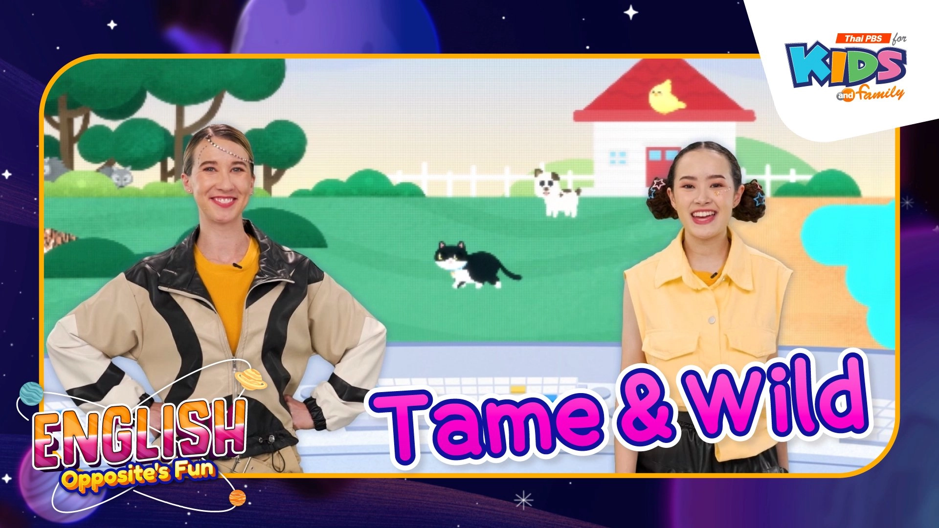 Tame&Wild