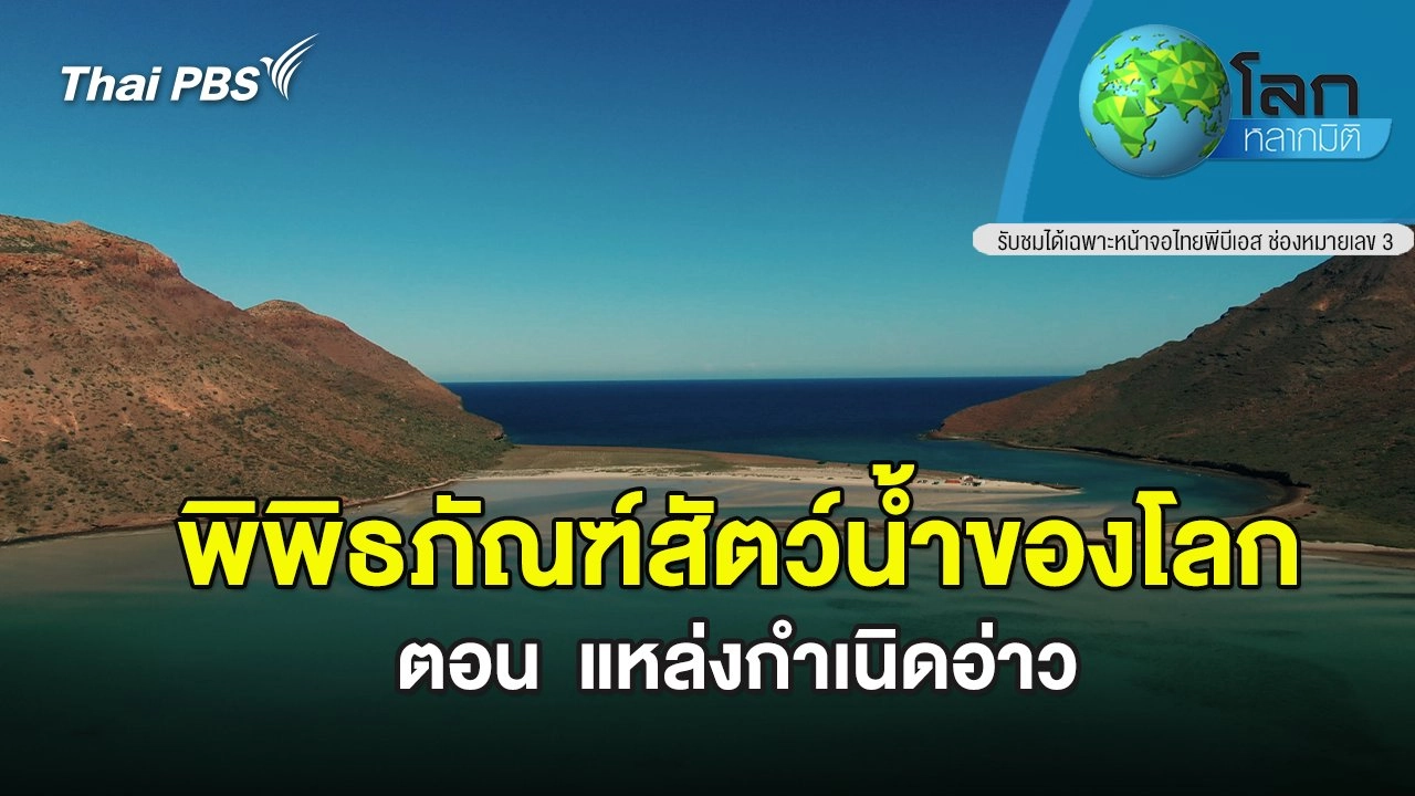 พิพิธภัณฑ์สัตว์น้ำของโลก ตอนที่ 3 แหล่งกำเนิดอ่าว