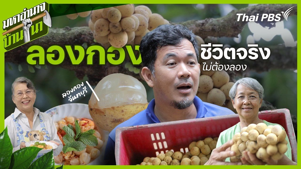 ลองกอง ชีวิตจริงไม่ต้องลอง