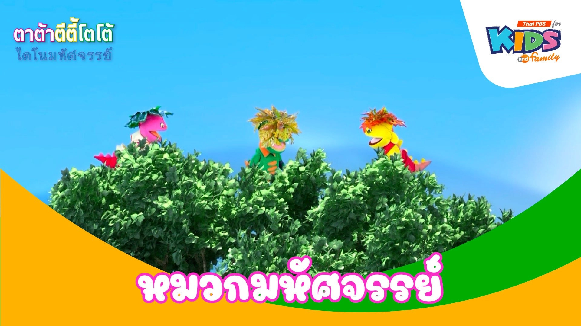 หมวกมหัศจรรย์