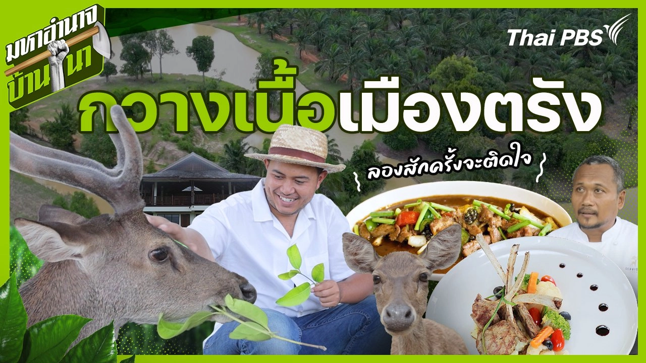 กวางเนื้อเมืองตรัง ลองสักครั้งจะติดใจ