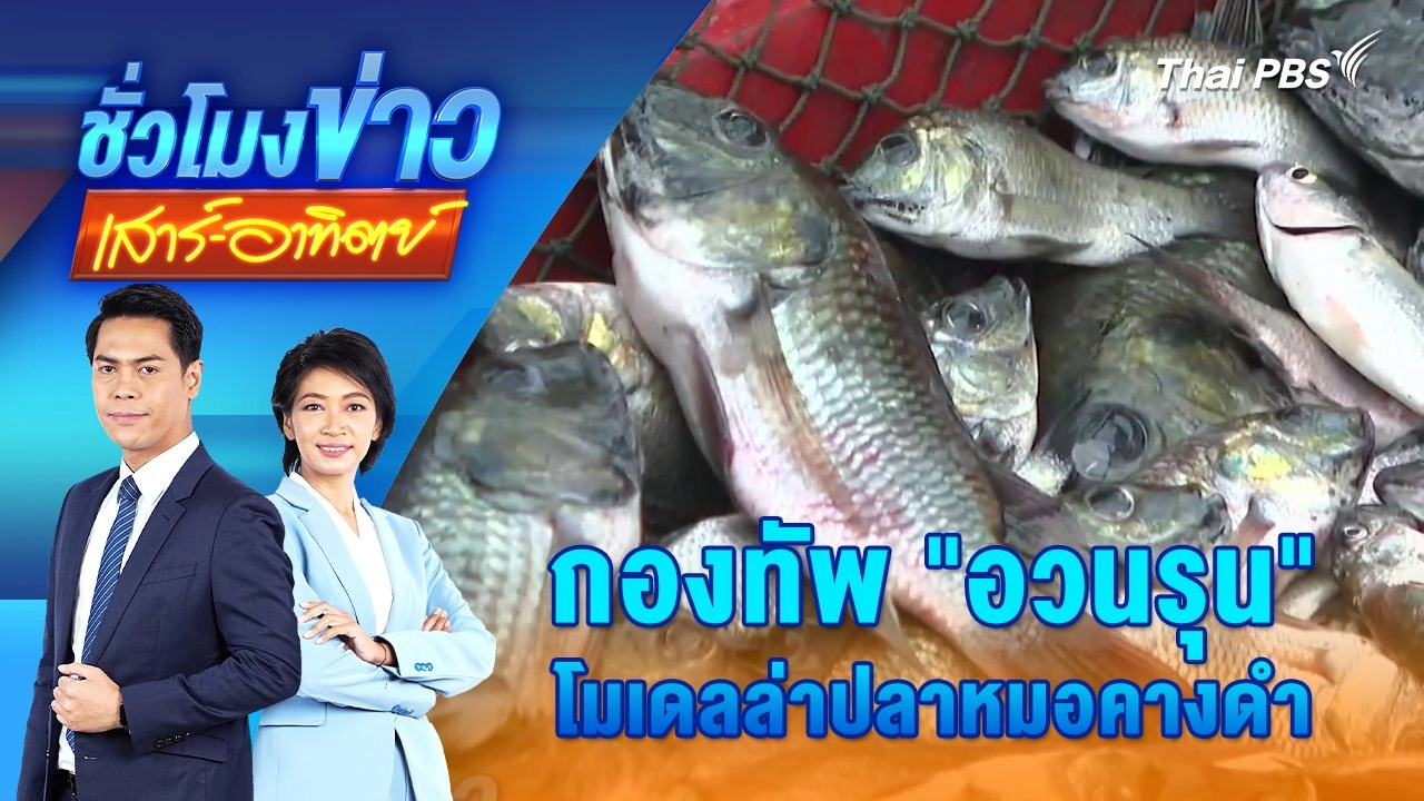 กองทัพ "อวนรุน" โมเดลล่าปลาหมอคางดำ | ชั่วโมงข่าว เสาร์ - อาทิตย์ | 28 ก.ค. 67