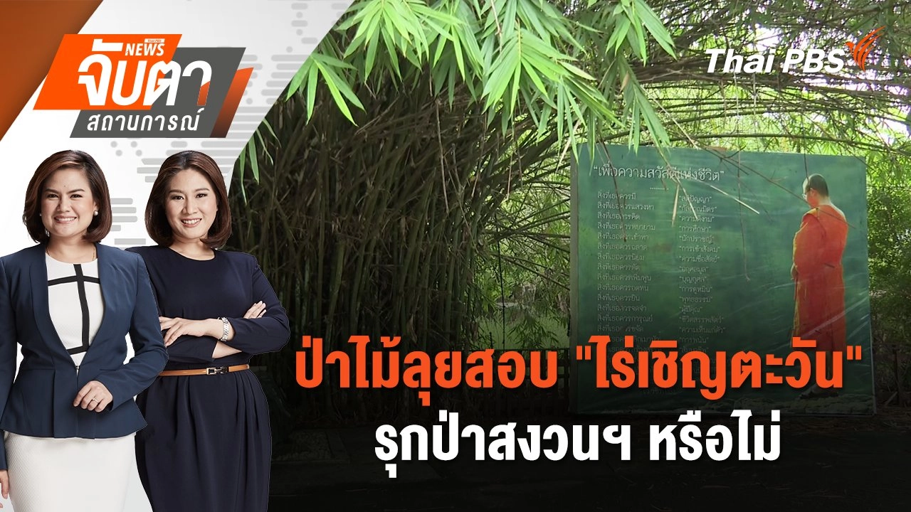 ป่าไม้ลุยสอบ "ไร่เชิญตะวัน" รุกป่าสงวนฯ หรือไม่ | จับตาสถานการณ์ | 21 ต.ค. 67