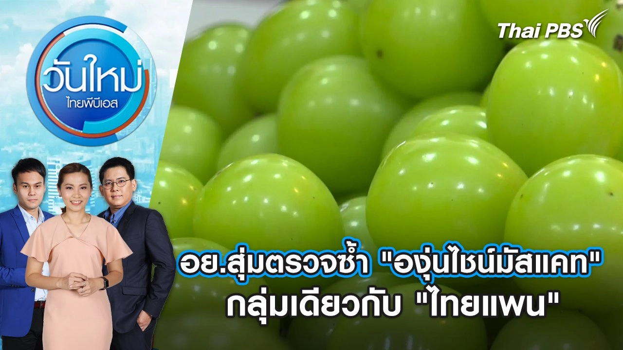 อย.สุ่มตรวจซ้ำ "องุ่นไชน์มัสแคท" กลุ่มเดียวกับ "ไทยแพน" | 29 ต.ค. 67