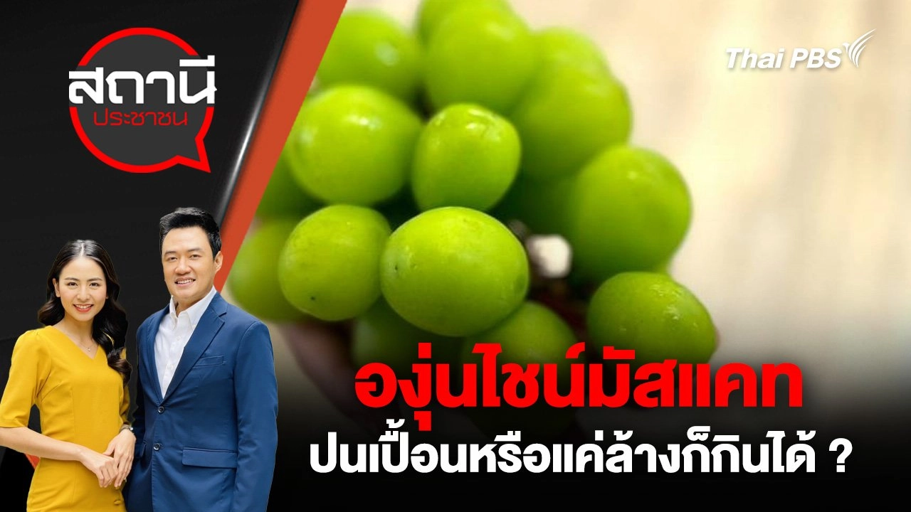 องุ่นไชน์มัสแคท ปนเปื้อนหรือแค่ล้างก็กินได้ ?
