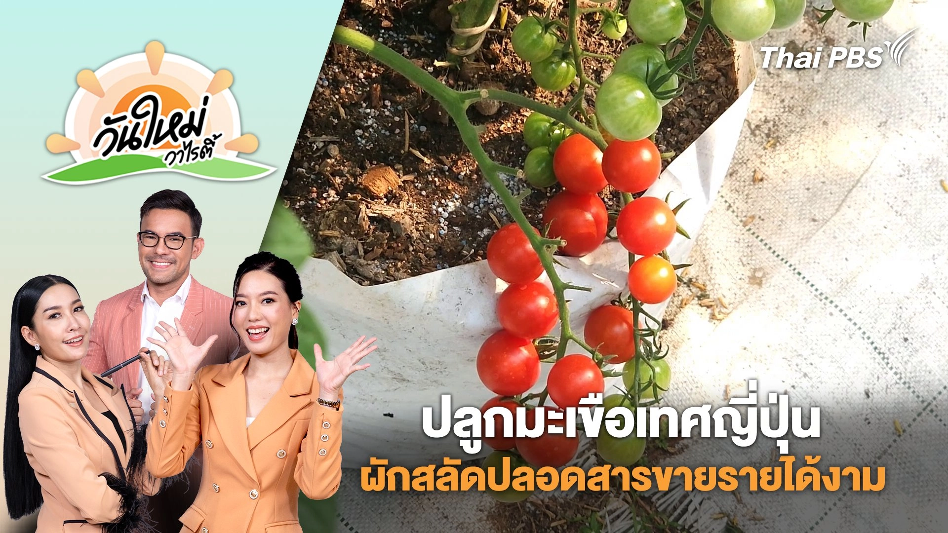 เกษตรกรราชบุรีปลูกมะเขือเทศญี่ปุ่น ผักสลัดปลอดสารขายรายได้งาม | วันใหม่วาไรตี้ | 5 มี.ค. 68