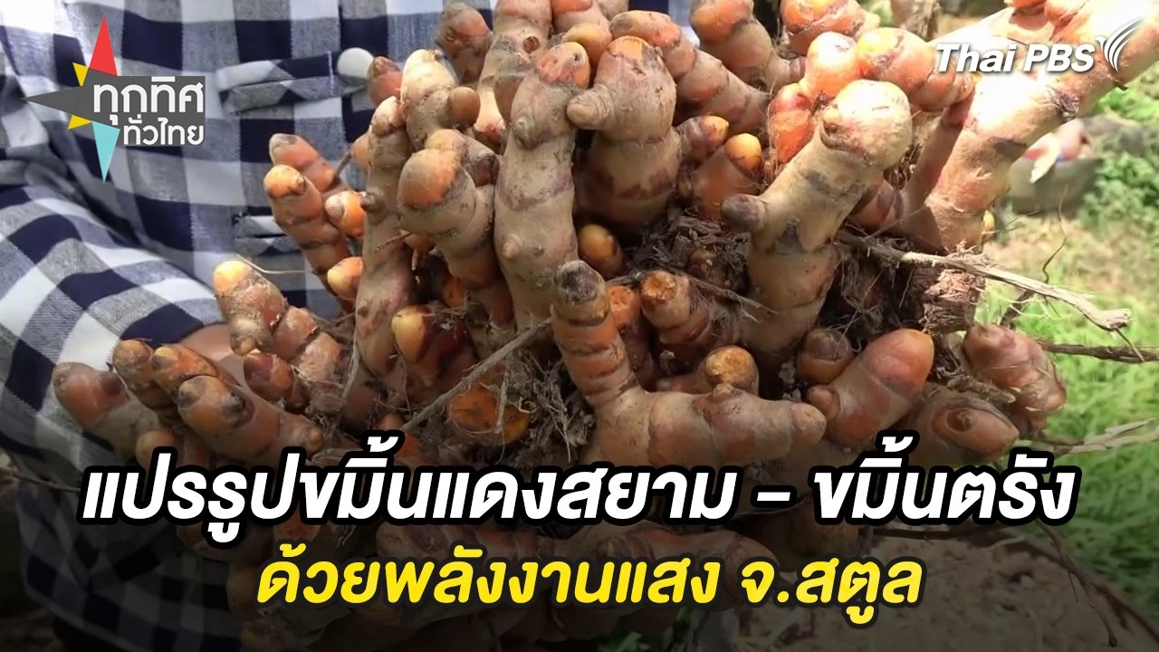 ทุกทิศทั่วไทย