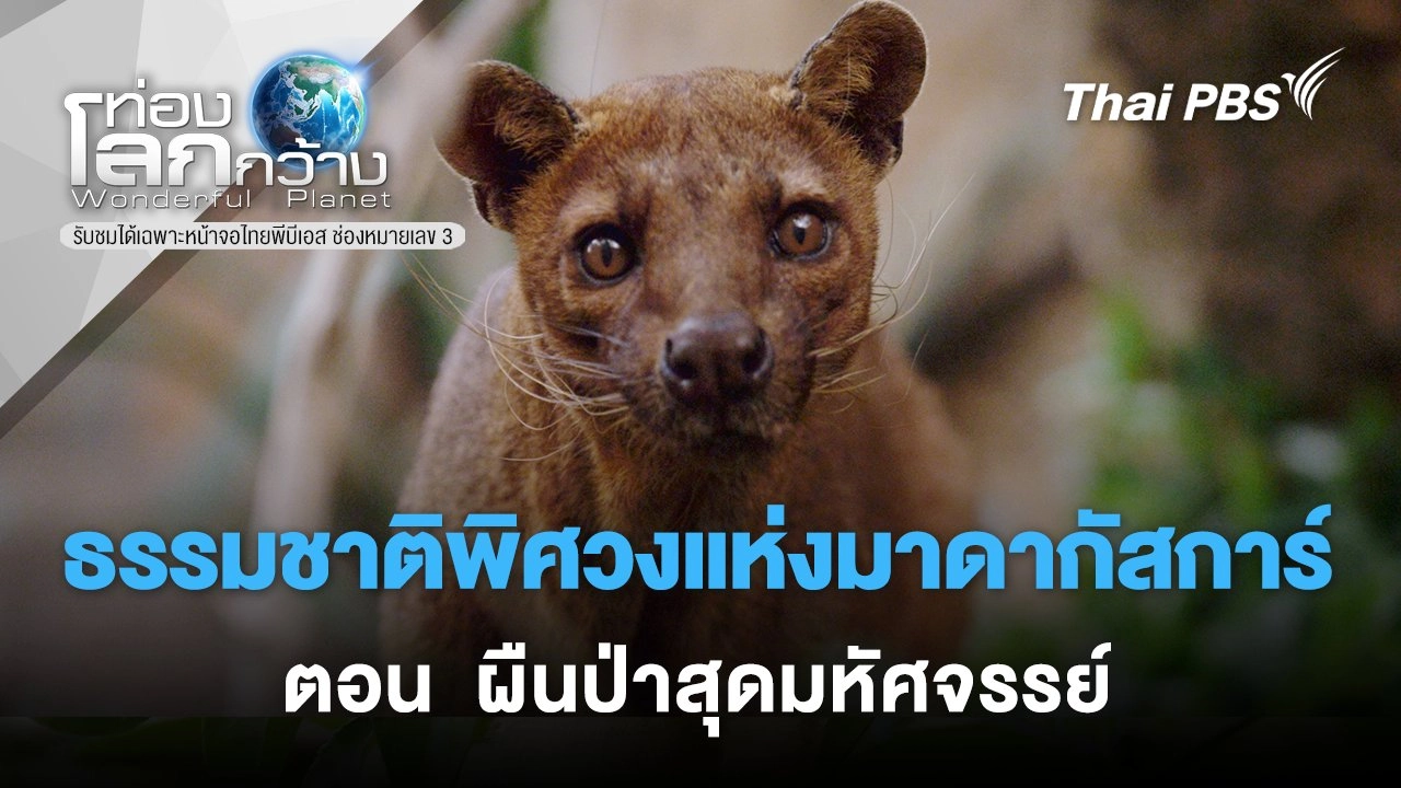 ธรรมชาติพิศวงแห่งมาดากัสการ์ ตอน  ผืนป่าสุดมหัศจรรย์