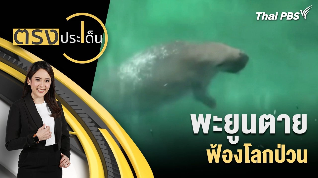 พะยูนตาย ฟ้องโลกป่วน