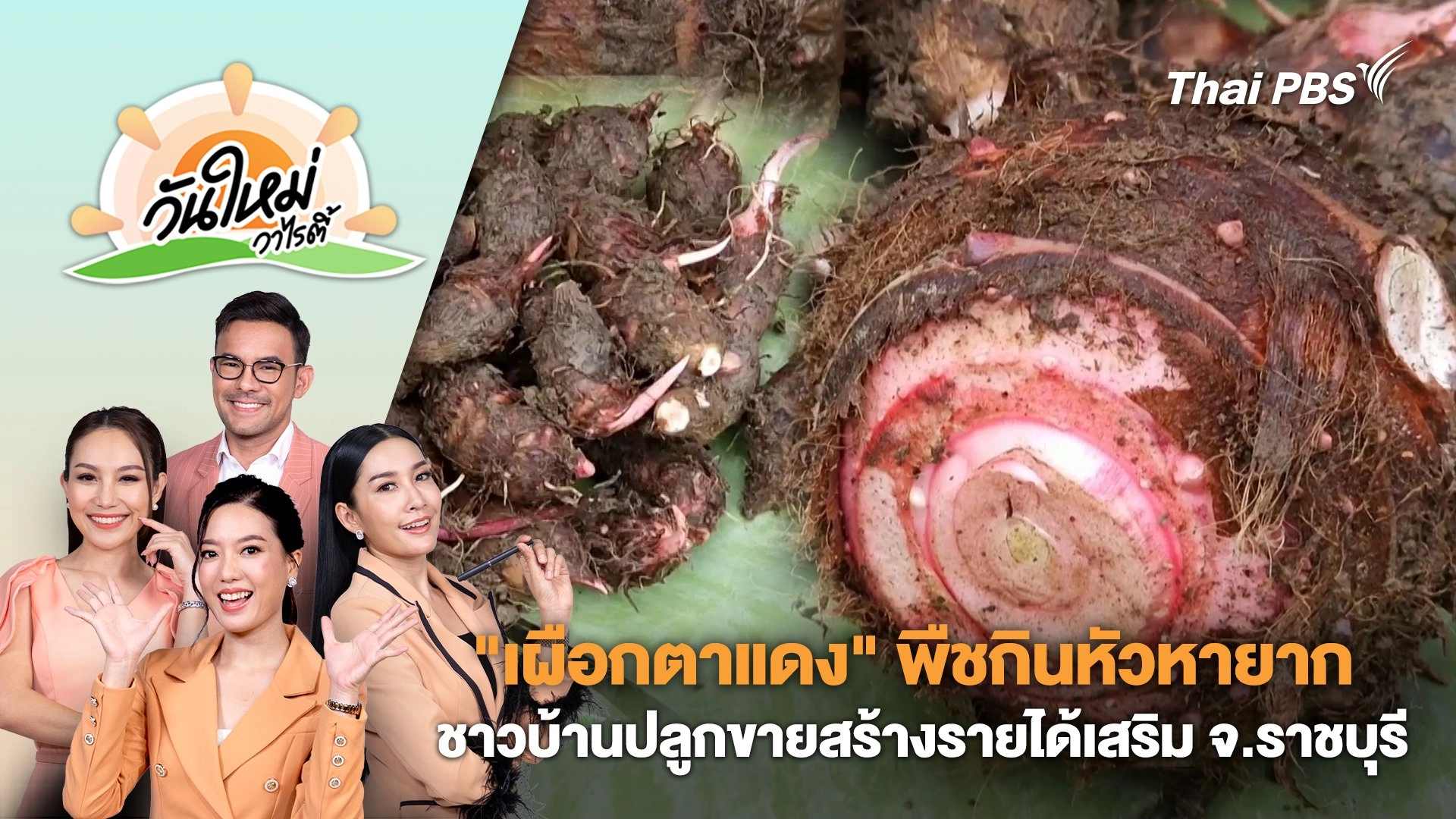 "เผือกตาแดง" พืชกินหัวหายาก ชาวบ้านปลูกขายสร้างรายได้เสริม จ.ราชบุรี | วันใหม่วาไรตี้ | 20 ธ.ค. 67