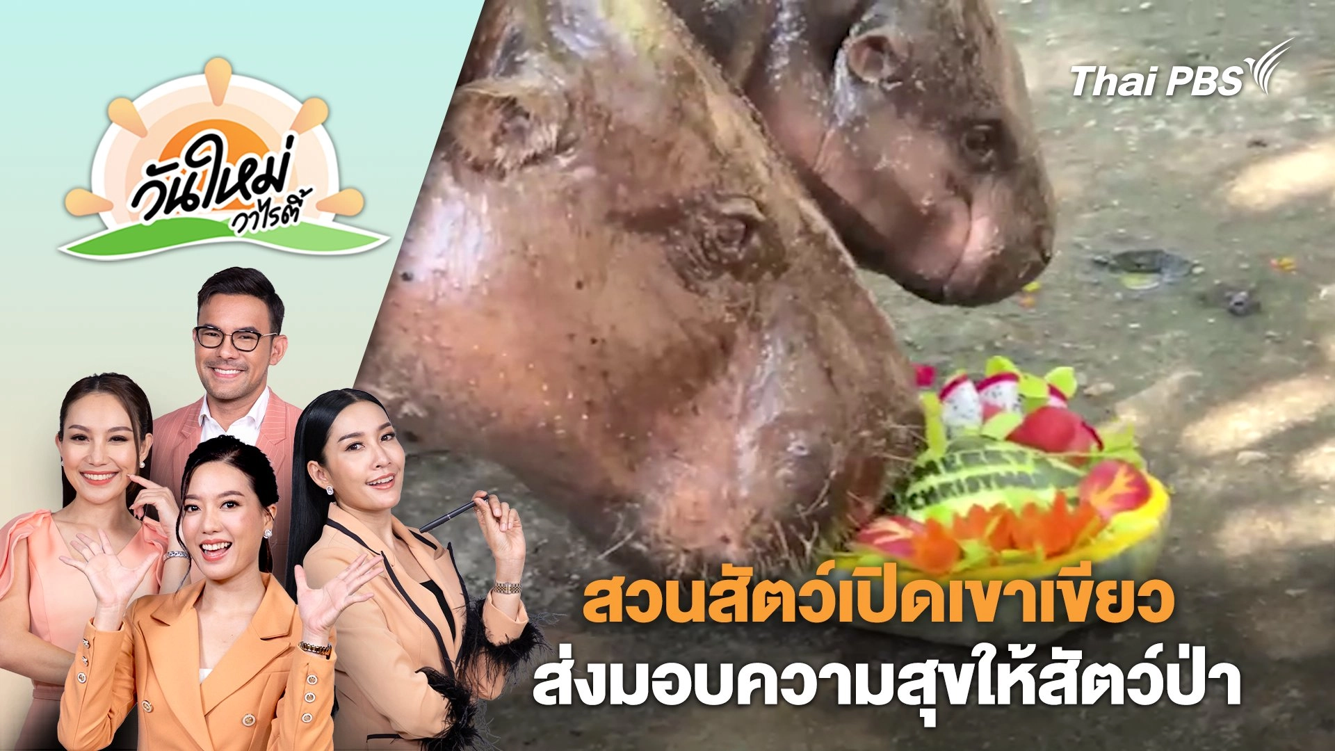สวนสัตว์เปิดเขาเขียวจัดกิจกรรมส่งมอบความสุขให้สัตว์ป่า | วันใหม่วาไรตี้ | 26 ธ.ค. 67