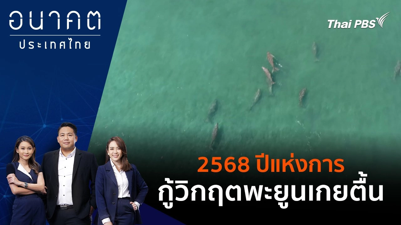 2568 ปีแห่งการกู้วิกฤตพะยูนเกยตื้น