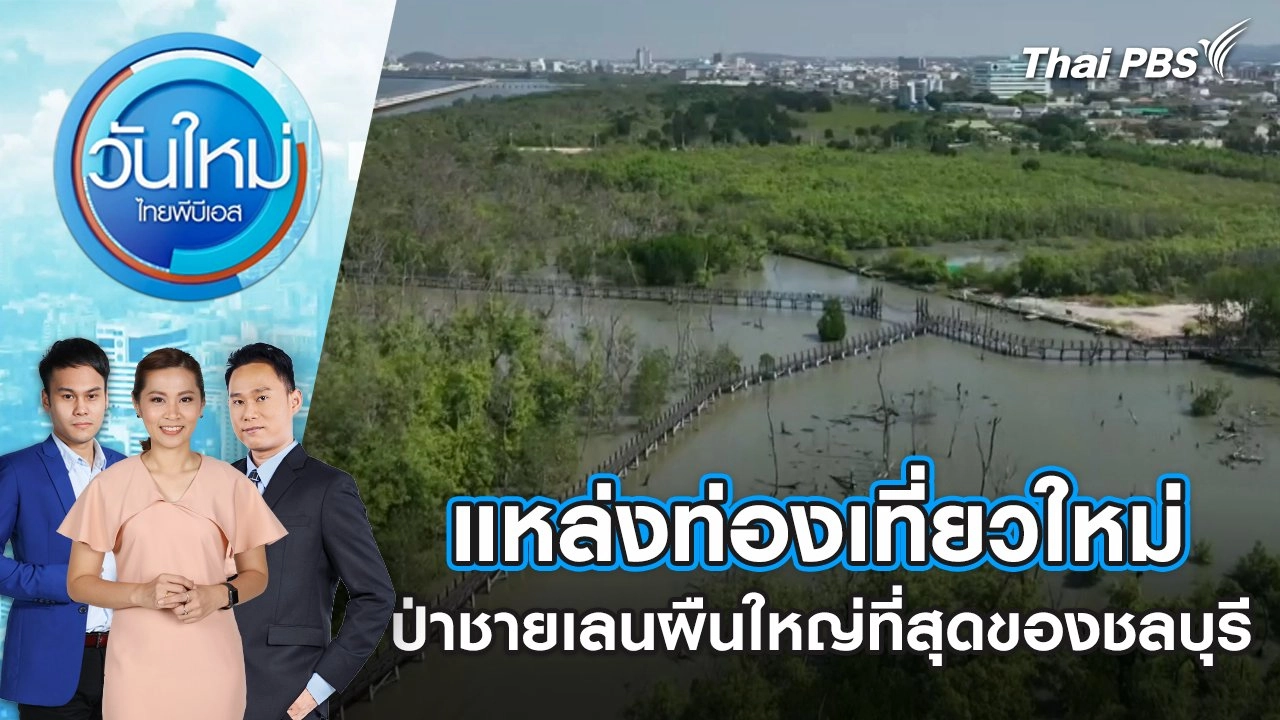 แหล่งท่องเที่ยวใหม่ ป่าชายเลนผืนใหญ่ที่สุดของชลบุรี | 27 ธ.ค. 67
