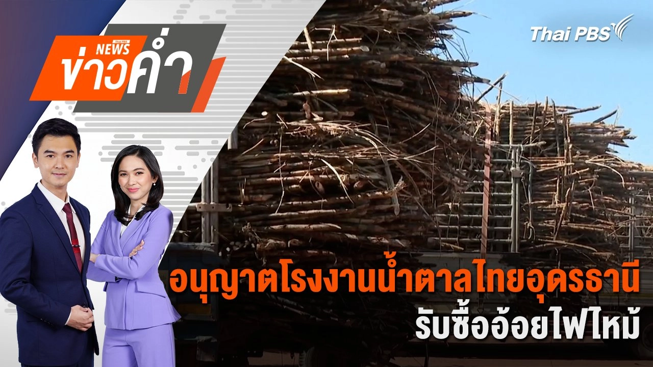 อนุญาตโรงงานน้ำตาลไทยอุดรธานี รับซื้ออ้อยไฟไหม้ | 17 ม.ค. 68