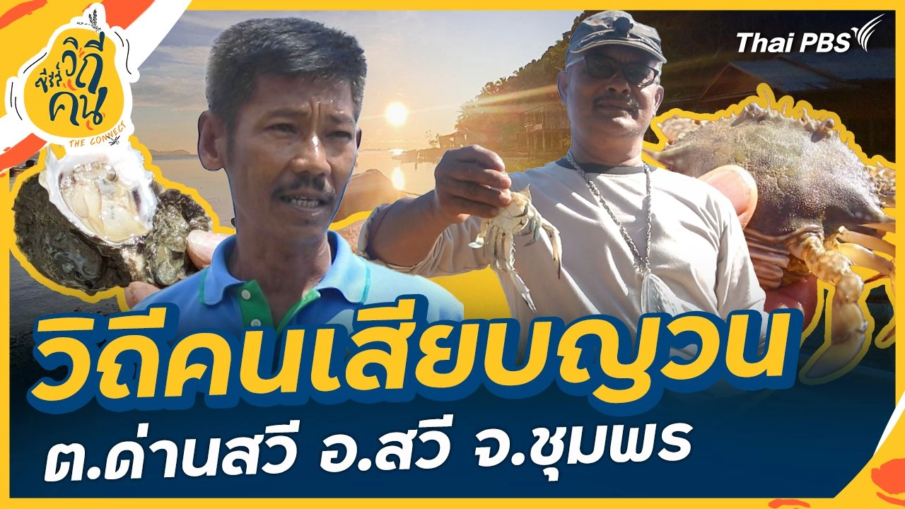 วิถีคนเสียบญวน ต.ด่านสวี อ.สวี จ.ชุมพร