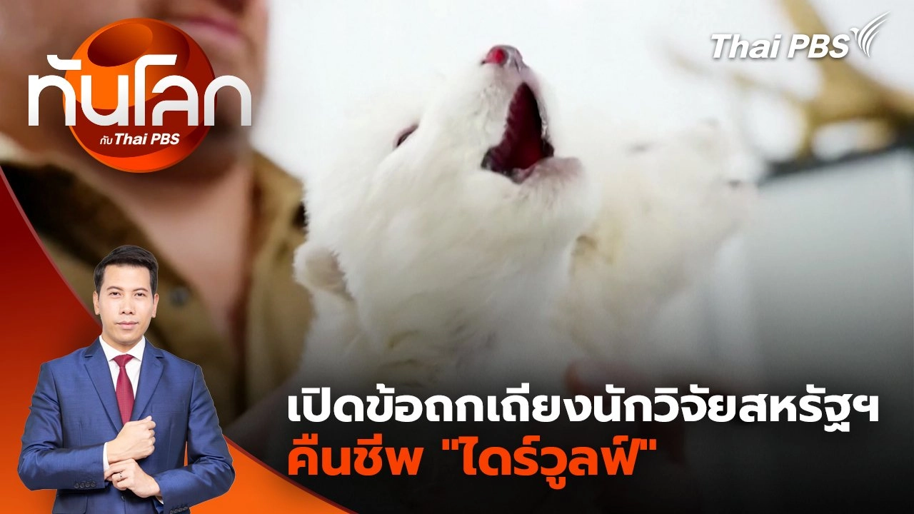 เปิดข้อถกเถียงนักวิจัยสหรัฐฯ คืนชีพ "ไดร์วูลฟ์" | 9 เม.ย. 68