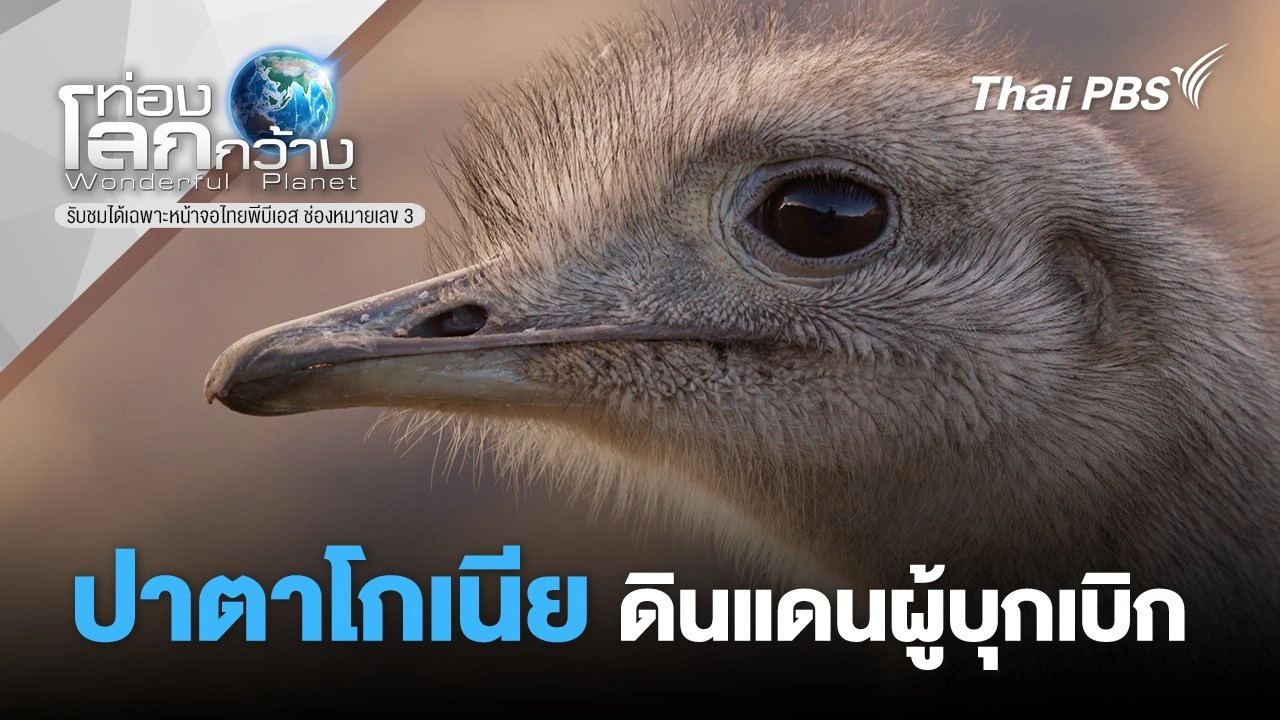 ปาตาโกเนีย...ดินแดนผู้บุกเบิก