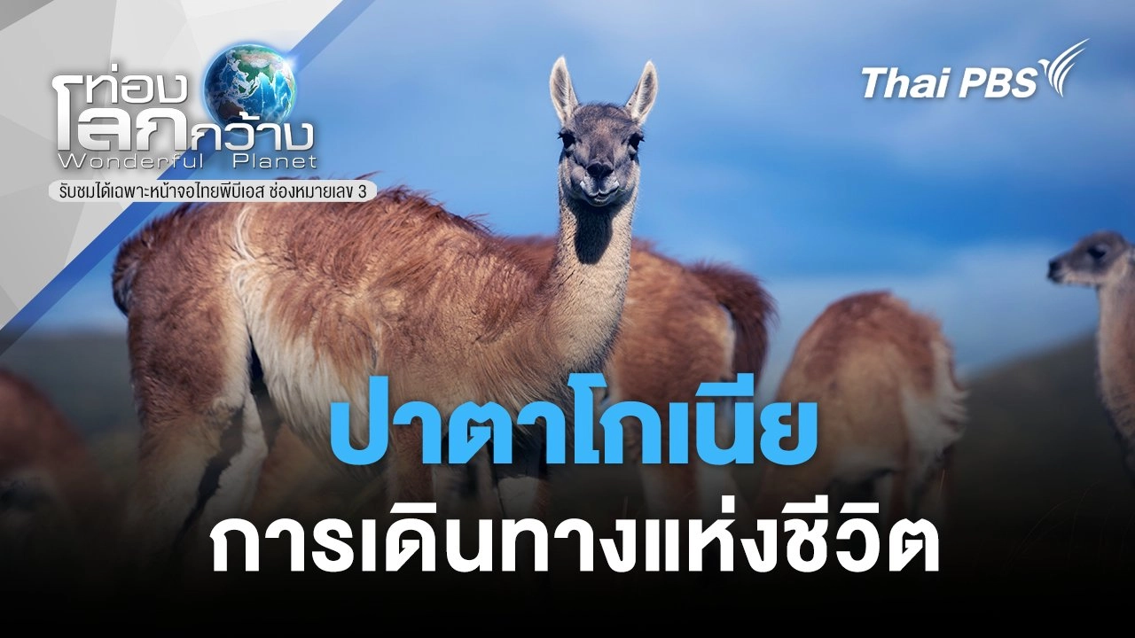 ปาตาโกเนีย...การเดินทางแห่งชีวิต