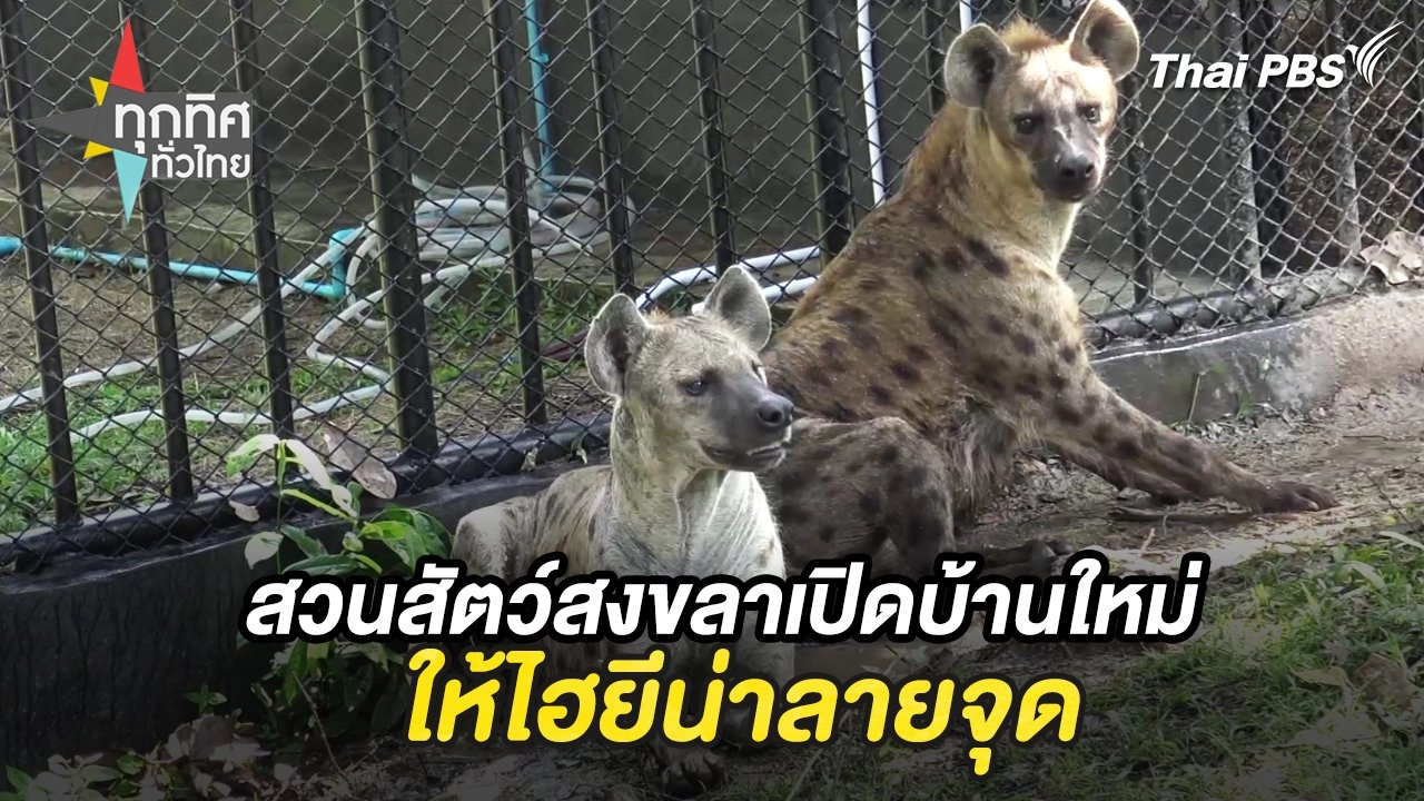 ทุกทิศทั่วไทย