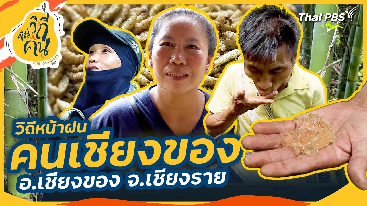 วิถีหน้าฝนคนเชียงของ อ.เชียงของ จ.เชียงราย