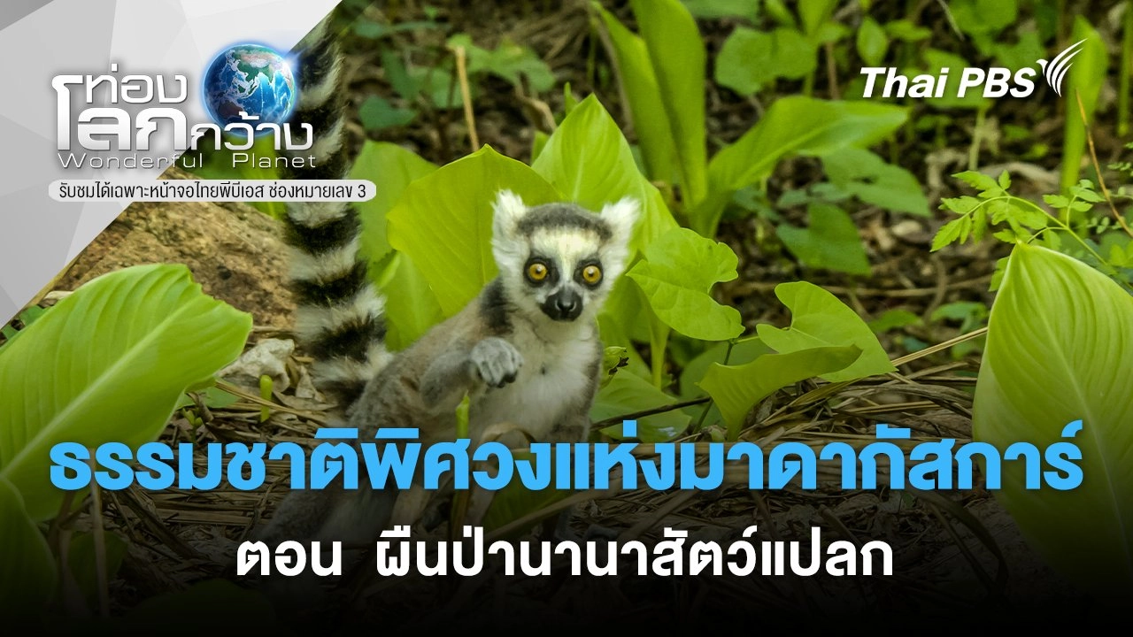 ธรรมชาติพิศวงแห่งมาดากัสการ์ ตอน  ผืนป่านานาสัตว์แปลก