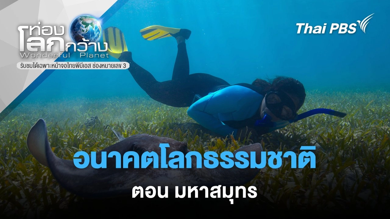 อนาคตโลกธรรมชาติ ตอน มหาสมุทร