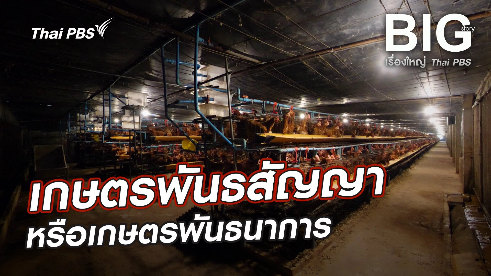 เกษตรพันธสัญญาหรือเกษตรพันธนาการ