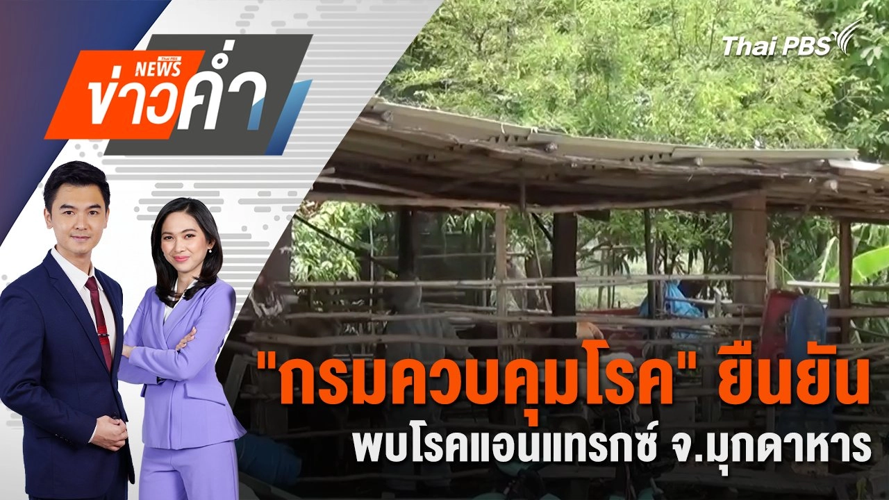 "กรมควบคุมโรค" ยืนยัน พบโรคแอนแทรกซ์ จ.มุกดาหาร | 2 พ.ค. 68