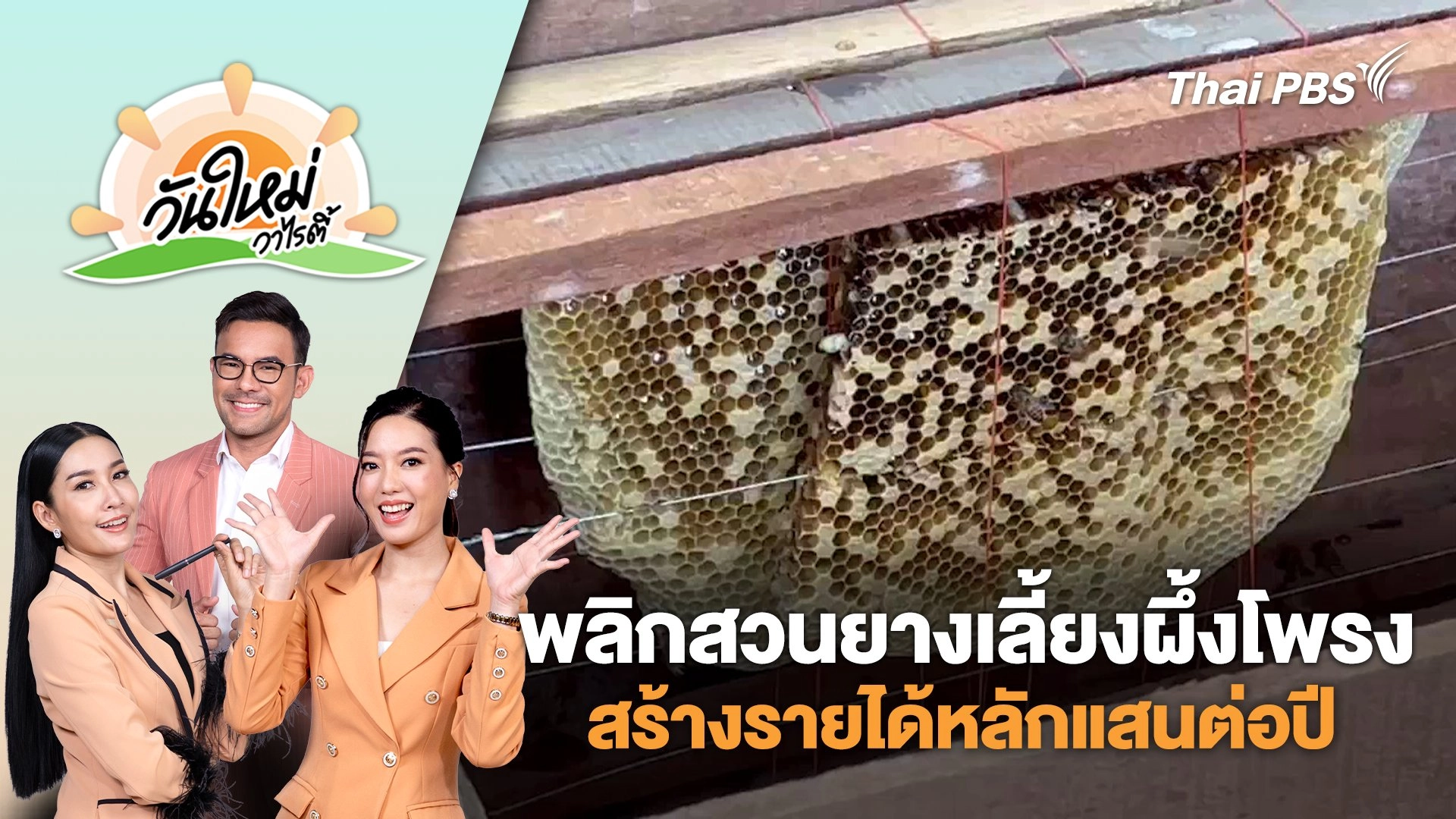 วันใหม่วาไรตี้