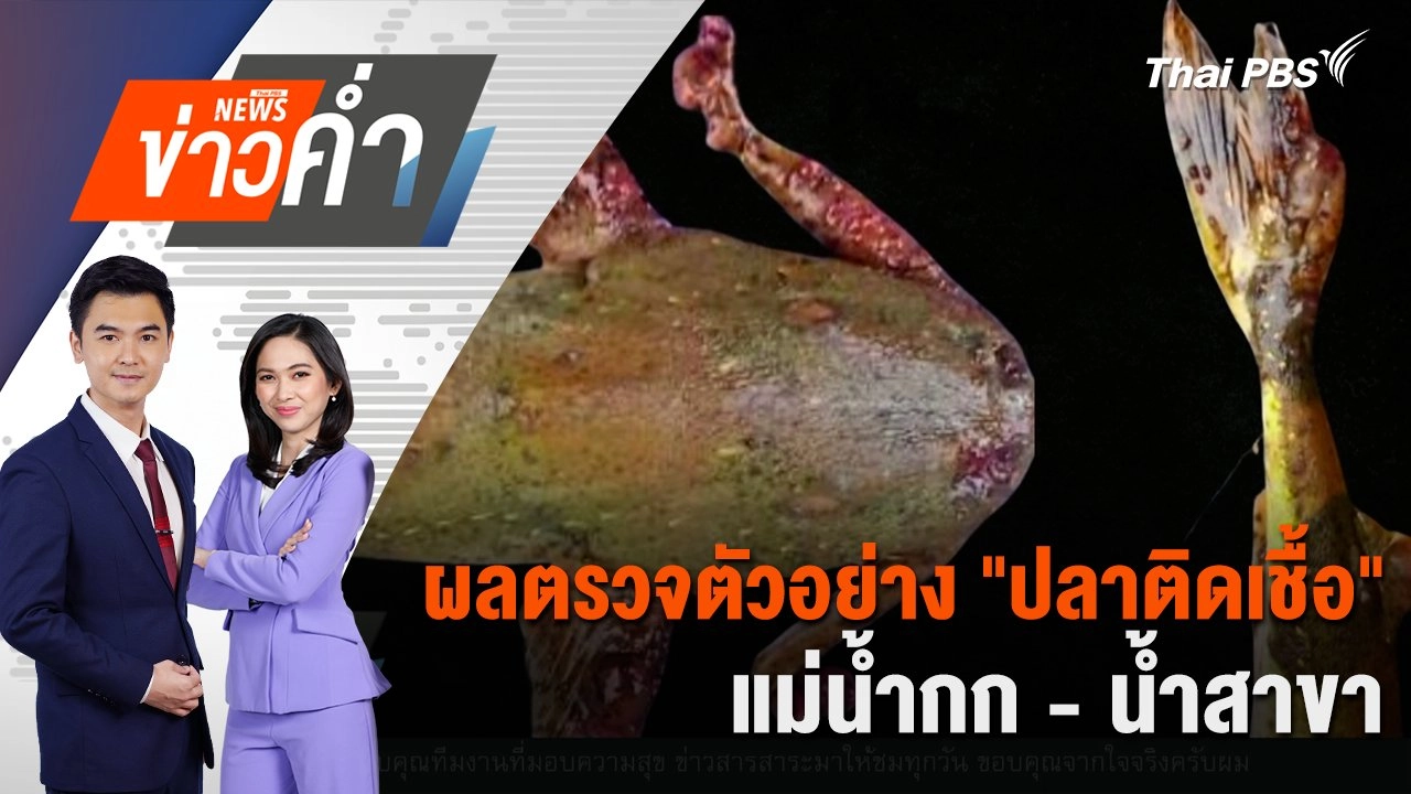 ผลตรวจตัวอย่าง "ปลาติดเชื้อ" แม่น้ำกก - น้ำสาขา | 20 พ.ค. 68