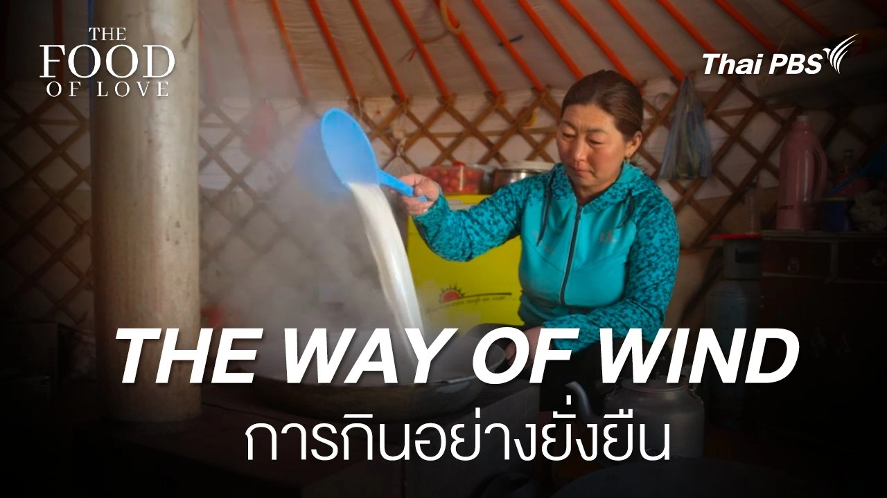 The way of wind :  Mongolia