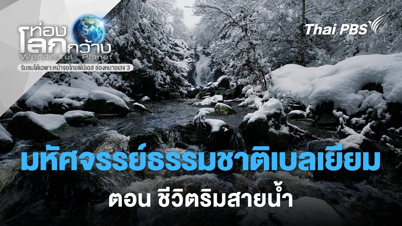 มหัศจรรย์ธรรมชาติเบลเยียม ตอน ชีวิตริมสายน้ำ
