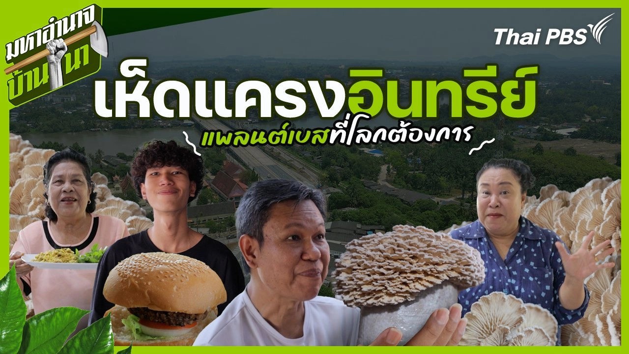 เห็ดแครงอินทรีย์ แพลนต์เบสที่โลกต้องการ