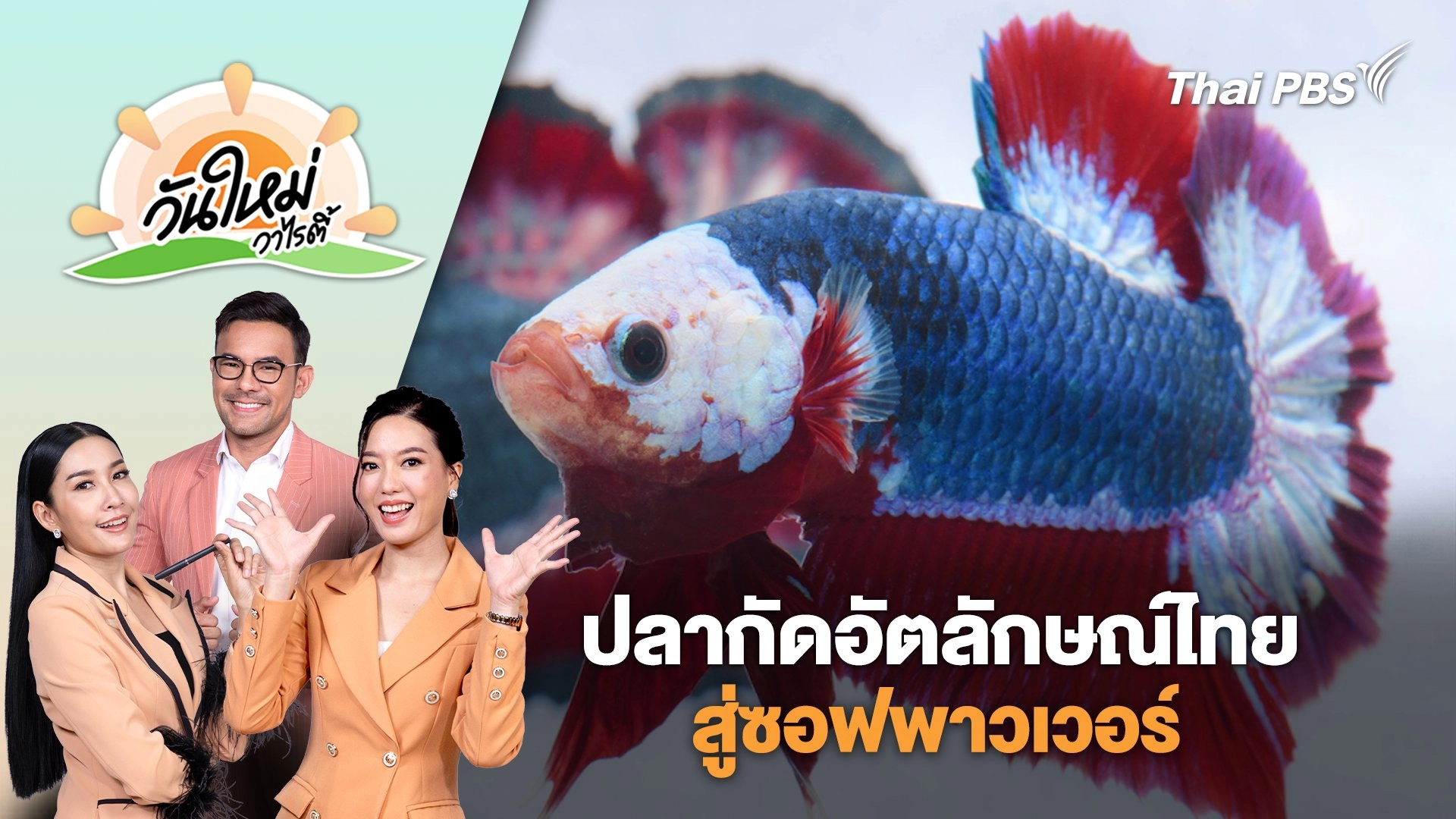 ปลากัดอัตลักษณ์​ไทยสู่ซอฟพาวเวอร์​ | วันใหม่วาไรตี้ | 17 มิ.ย. 68