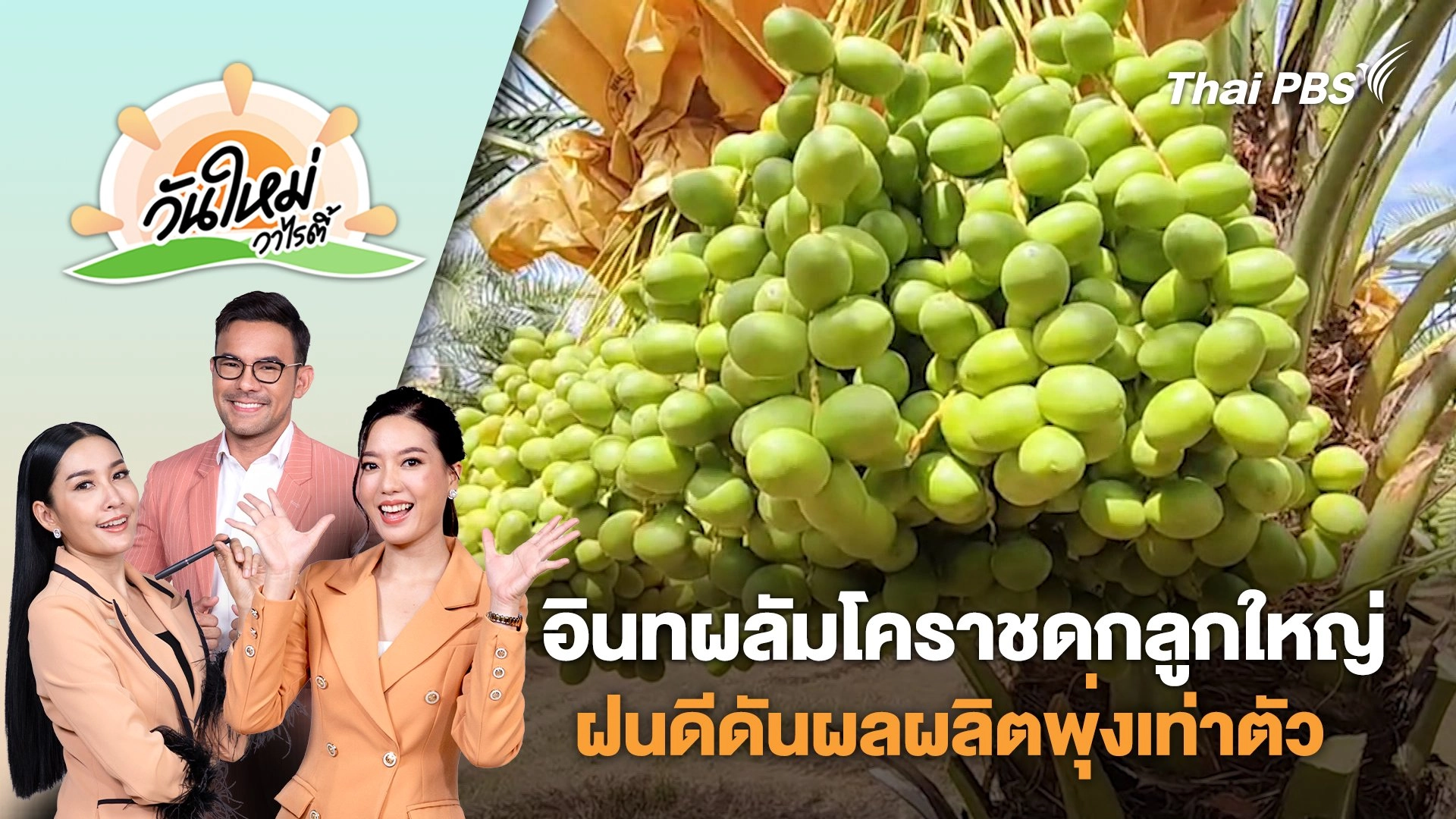 อินทผลัมโคราชดกลูกใหญ่ ฝนดีดันผลผลิตพุ่งเท่าตัว | วันใหม่วาไรตี้ | 24 มิ.ย. 68