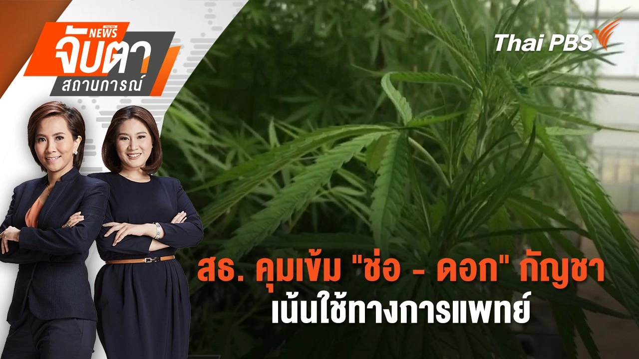สธ. คุมเข้ม "ช่อ - ดอก" กัญชา เน้นใช้ทางการแพทย์  | 25 มิ.ย. 68