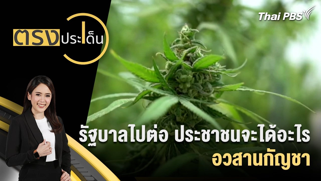 รัฐบาลไปต่อ ประชาชนจะได้อะไร อวสานกัญชา