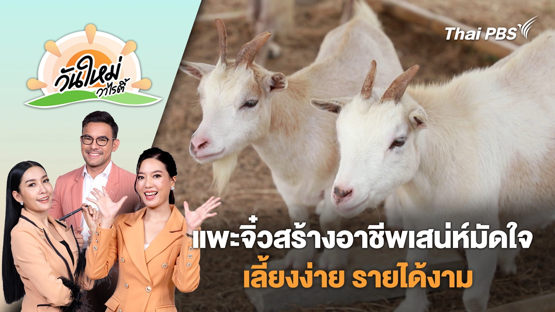 แพะจิ๋วสร้างอาชีพเสน่ห์มัดใจ เลี้ยงง่าย รายได้งาม | วันใหม่วาไรตี้ | 4 ก.ค. 68