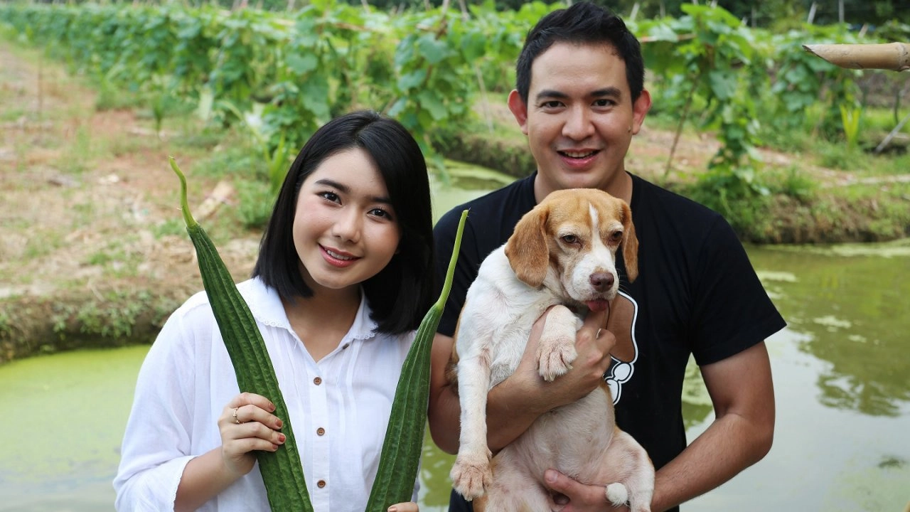 บวบเหลี่ยม