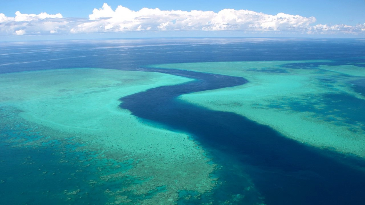 ค้นพบโลกของเรา ตอน มายอต เกาะในลากูน