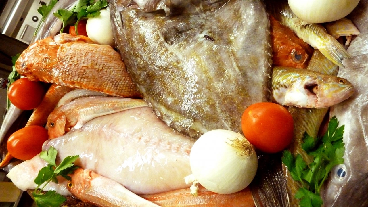 ท่องอารยธรรมอาหาร ตอน เรื่องของปลา