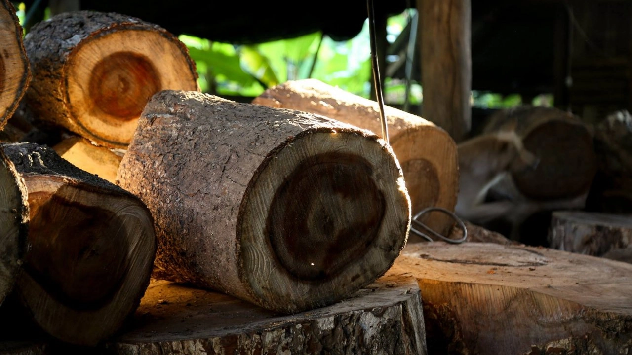 อัปเกรดเศรษฐกิจ 4.0