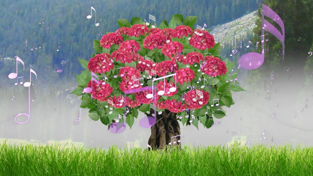 ดอกไม้นักดนตรี