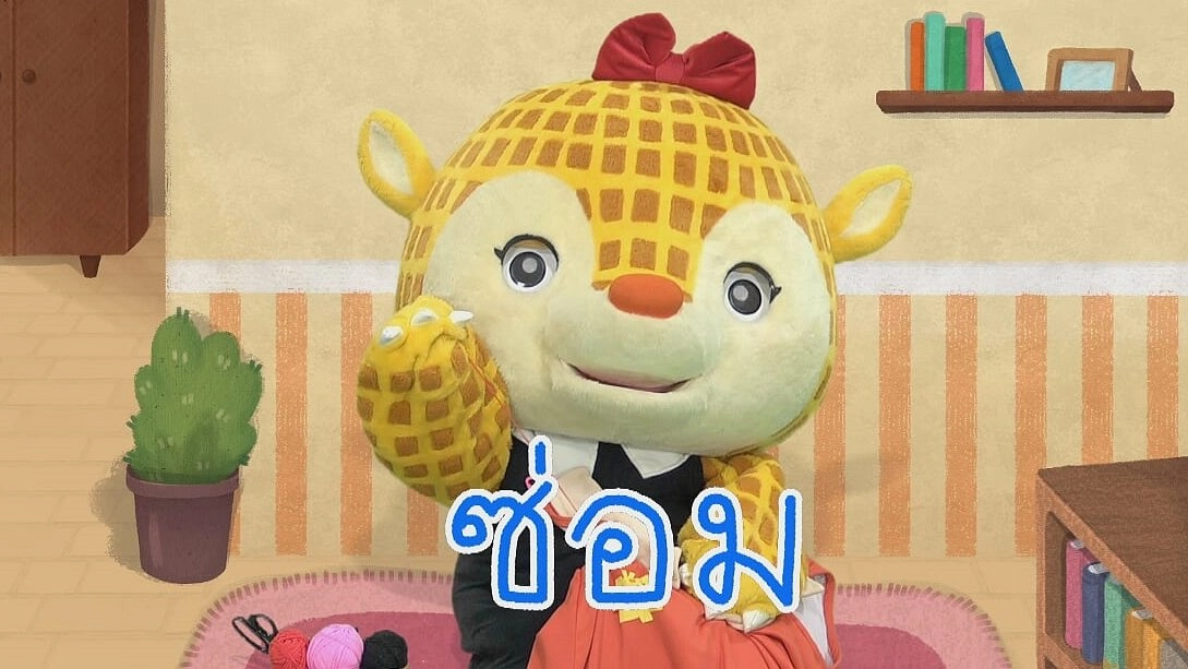 ตัวอักษร ซ.โซ่