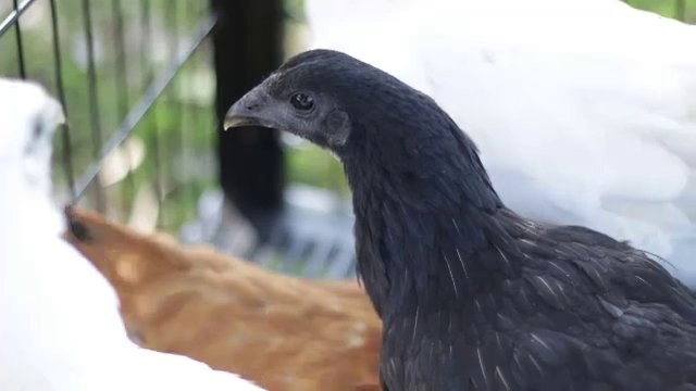 ​จ.สกลนคร