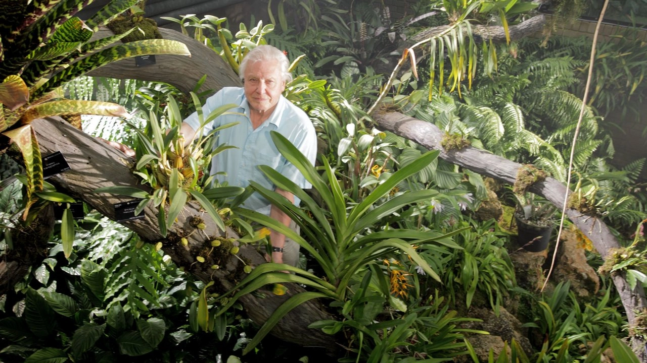 อัศจรรย์อาณาจักรแห่งพืช ตอน ชีวิตในเขตชุ่มชื้น